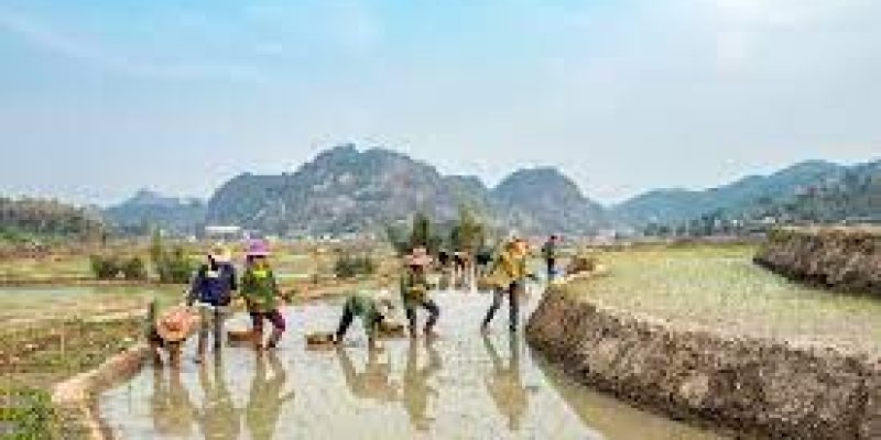 MoU signed to facilitate low interest rate loans to farmers