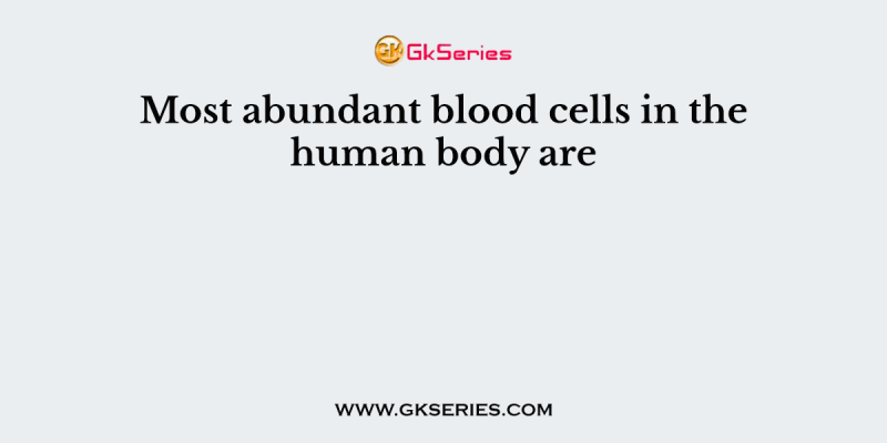 Most abundant blood cells in the human body are