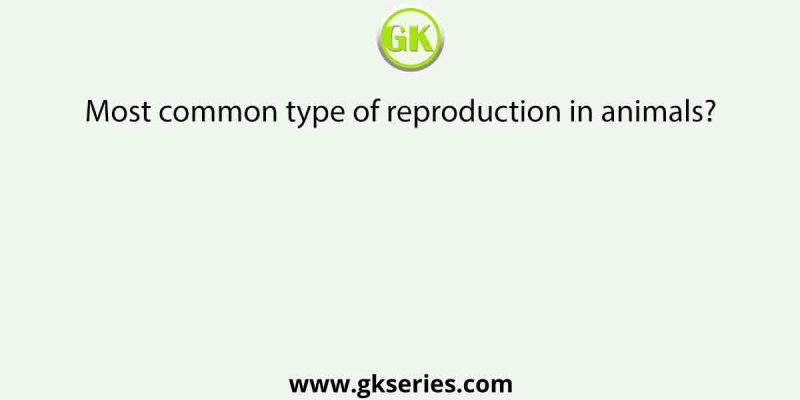Most common type of reproduction in animals?