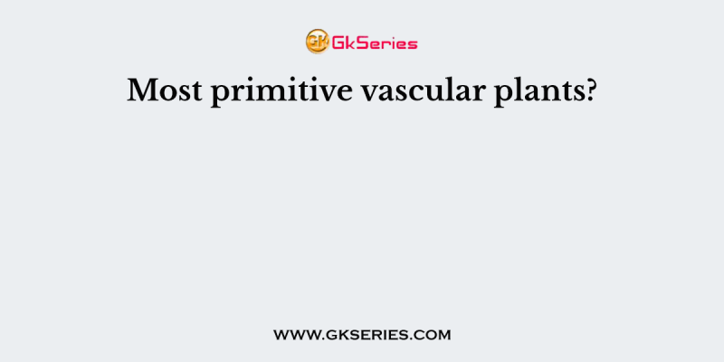Most primitive vascular plants?