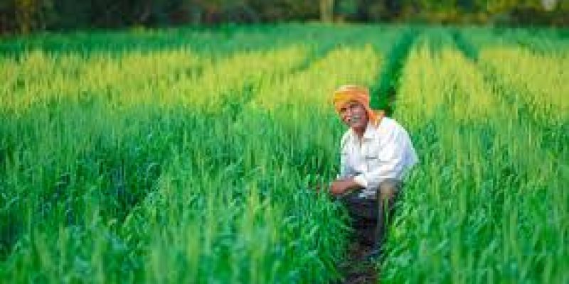 UP Govt launches Mukhyamantri Krishak Durghatna Kalyan Yojana