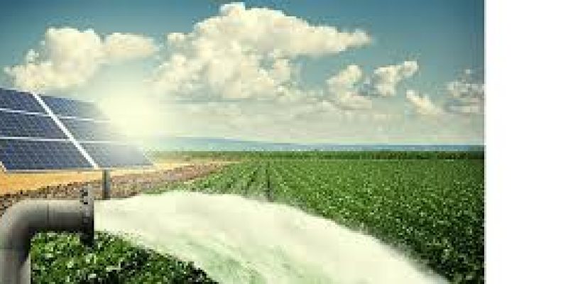 Mukhyamantri Saur Krushi Pump Yojana