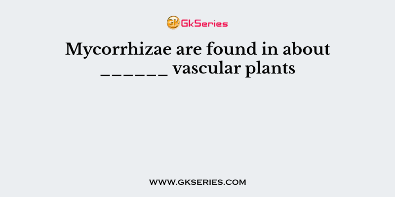 Mycorrhizae are found in about ______ vascular plants