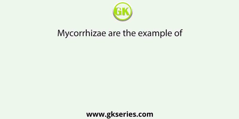 Mycorrhizae are the example of