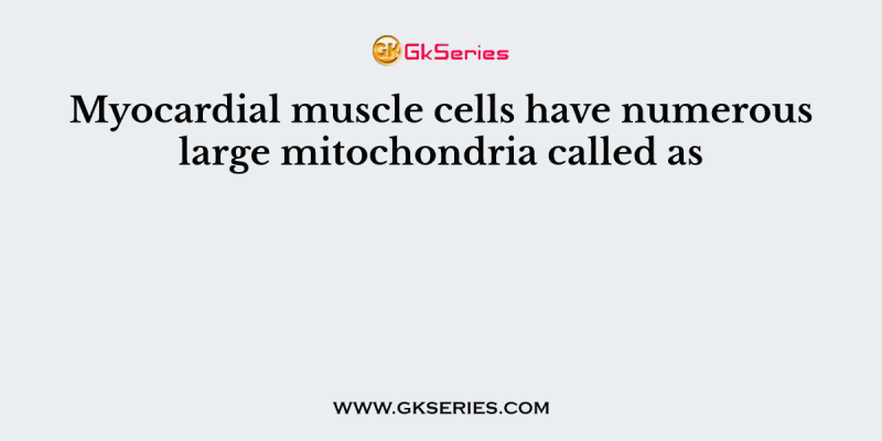 Myocardial muscle cells have numerous large mitochondria called as