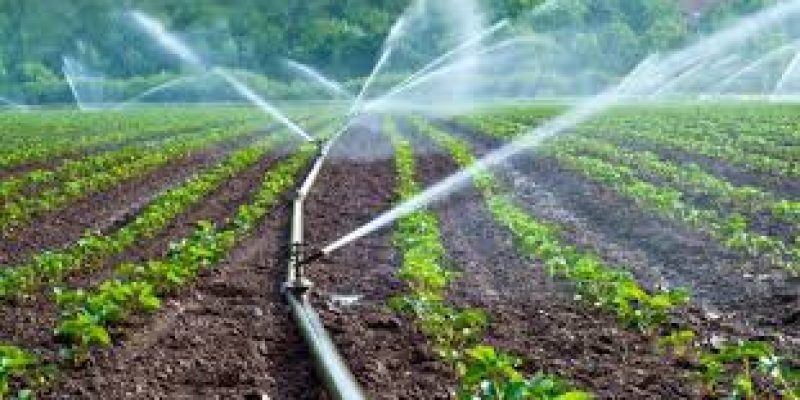 NABARD release interest sub-vented loan from Micro-Irrigation Fund