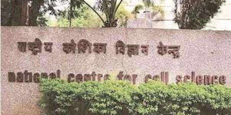 NCCS Recruitment 2020 for 571 Lecturer (General & Female Branch) Vacancy