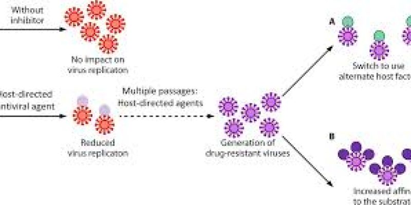 NCVTC to develop host-directed antivirals for COVID-19 disease