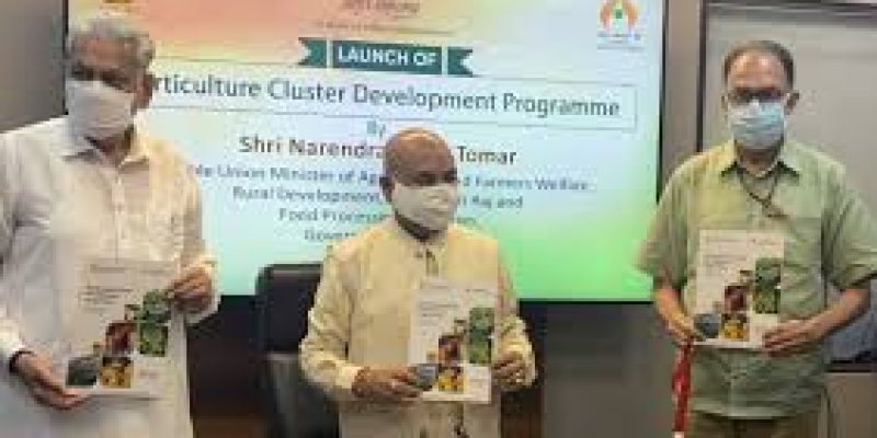 NHB launched pilot phase of Cluster Development Programme