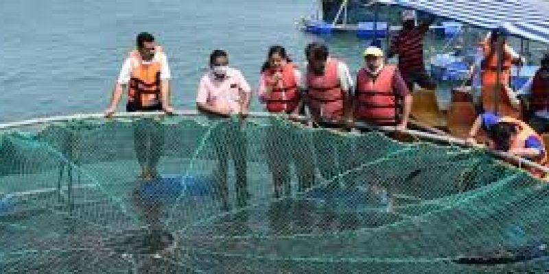 NIO scientists mapping genomes in the Indian Ocean