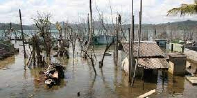 NITI Aayog vision for Great Nicobar ignores tribal, ecological concerns