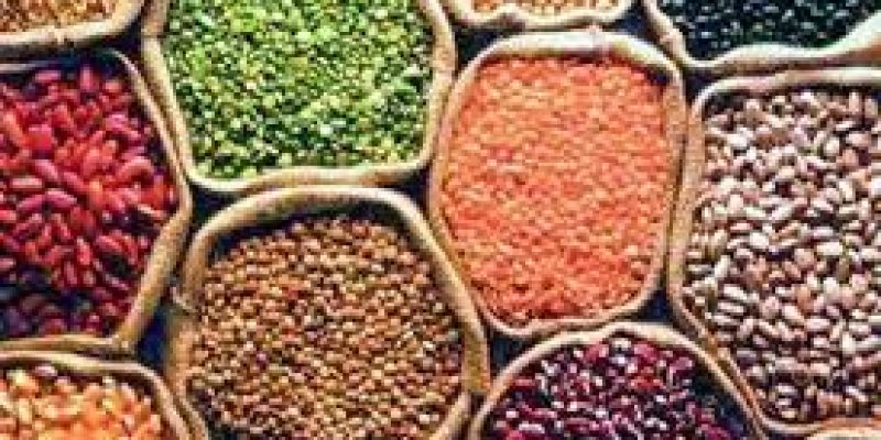 Nafed procures pulses, oilseeds at support price amid lockdown