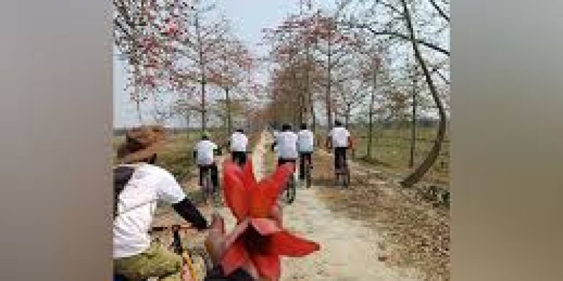 Nagaon Hosts 2nd Simolu Festival Amid Blooming Bombax Ceiba
