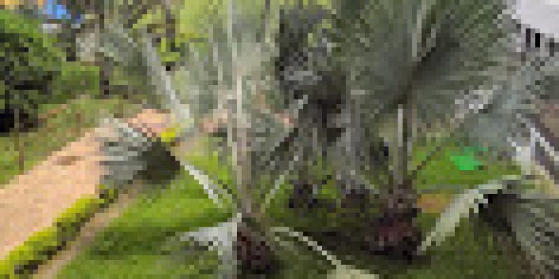 Nagpur Institute of Technology, Nagpur