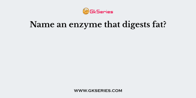Name an enzyme that digests fat?