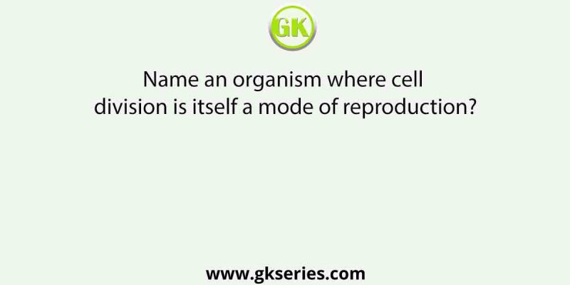 Name an organism where cell division is itself a mode of reproduction?