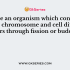 Which among the following sentence is not correct about the organelles?