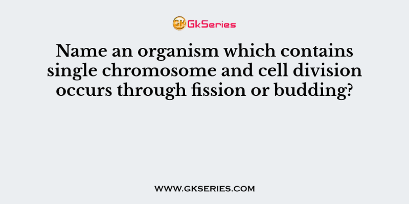 Name an organism which contains single chromosome and cell division occurs through fission or budding?