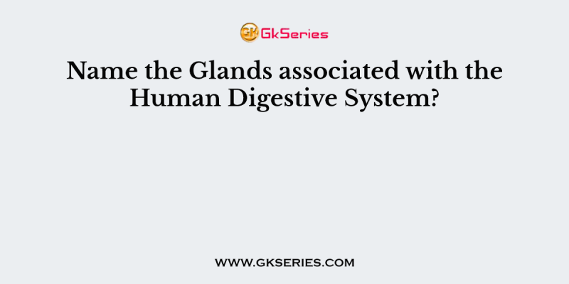 Name the Glands associated with the Human Digestive System?