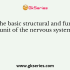 What is the speed of nerve impulse?