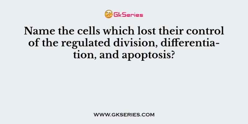 Name the cells which lost their control of the regulated division, differentiation, and apoptosis?