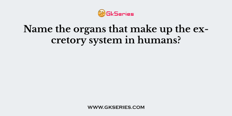 Name the organs that make up the excretory system in humans?