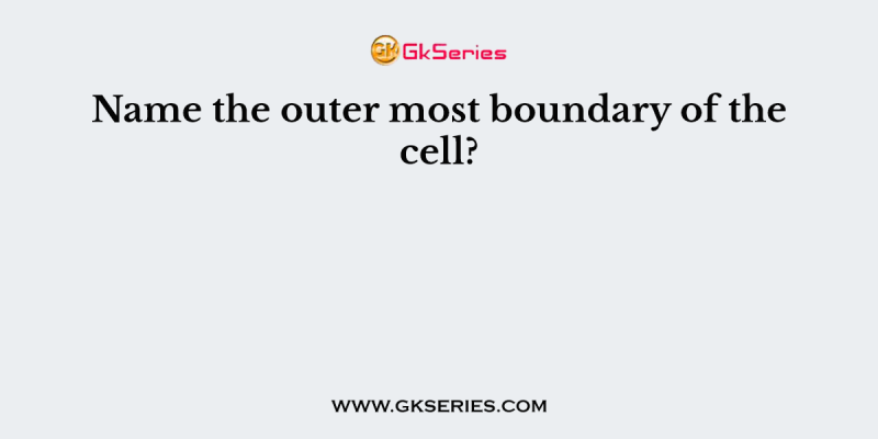 Name the outer most boundary of the cell?