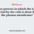 Name the process in which the passage of water goes from a region of higher concentration to a region of lower concentration through a semi permeable membrane?