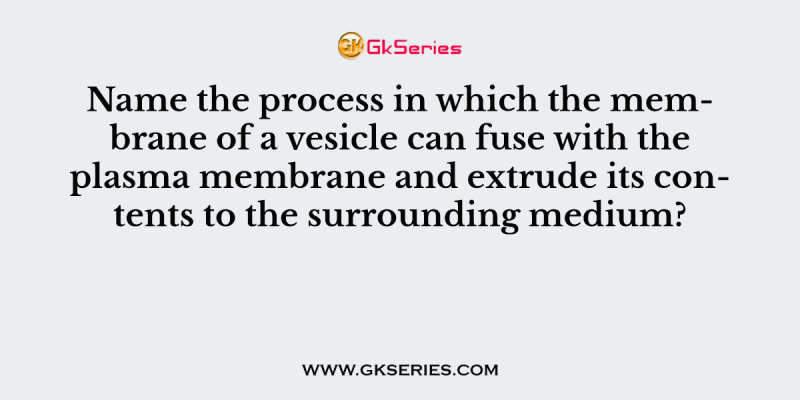 Name the process in which the membrane of a vesicle can fuse with the plasma membrane and extrude its contents to the surrounding medium?