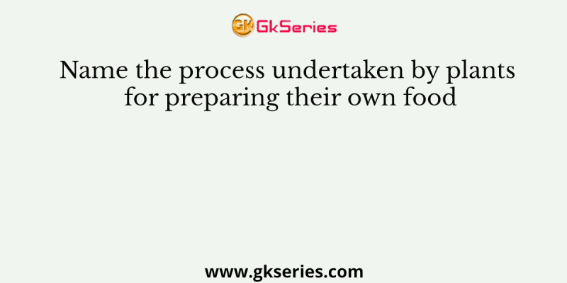 Name the process undertaken by plants for preparing their own food