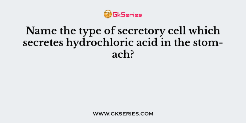 Name the type of secretory cell which secretes hydrochloric acid in the stomach?