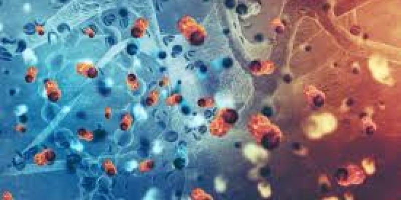 Nanomaterials as broad-spectrum antimicrobial agents against antibiotic resistance