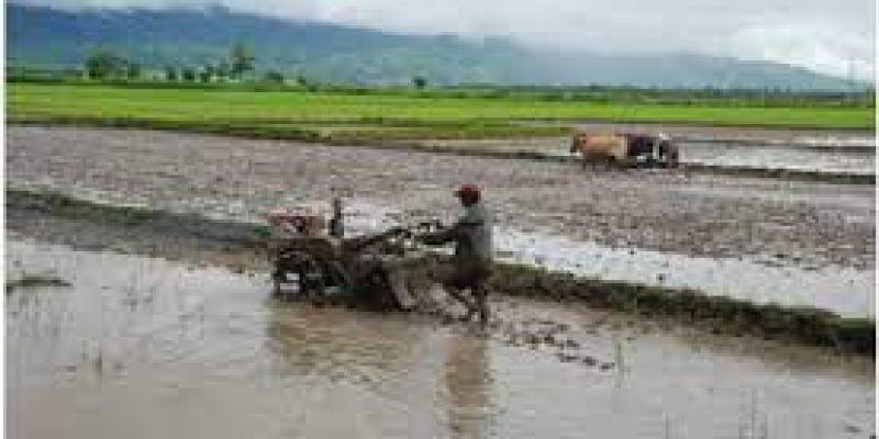 National Farmers Welfare Program Implementation Committee office