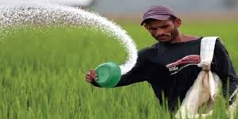 National Fertilizers Ltd. sale rose to 71 percent in April 2020