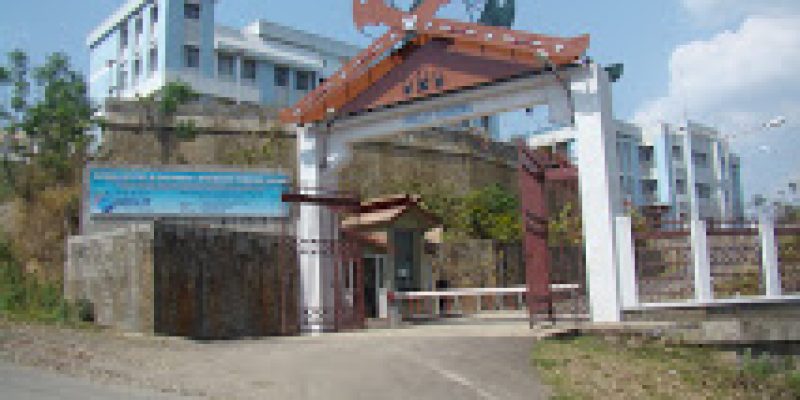 National Institute of Electronics and Information Technology, Kohima