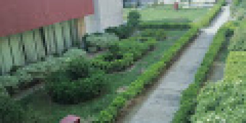 National Institute of Food Technology Entrepreneurship and Management, Sonepat