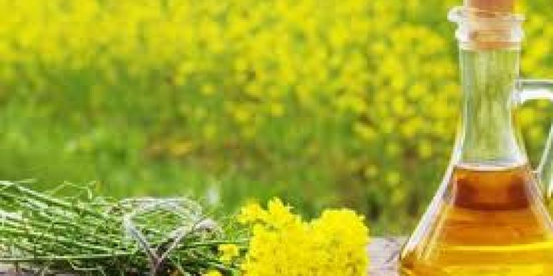 National Mustard Day 2020