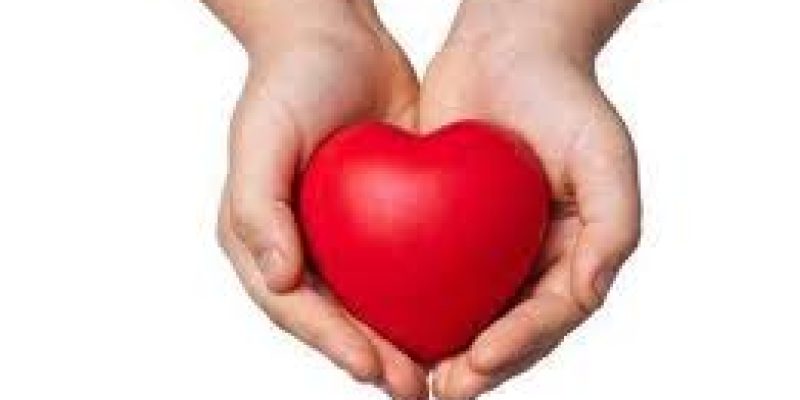 National Organ Donation Day 2020