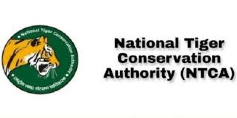 National Tiger Conservation Authority (NTCA)