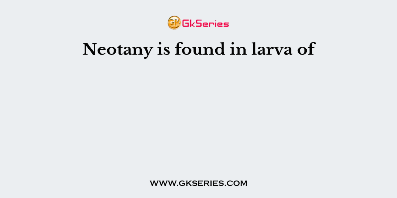 Neotany is found in larva of