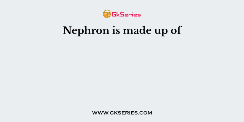 Nephron is made up of