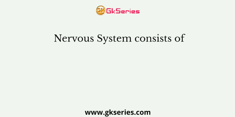 Nervous System consists of