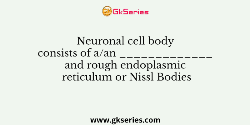 Neuronal cell body consists of a/an _____________ and rough endoplasmic reticulum or Nissl Bodies