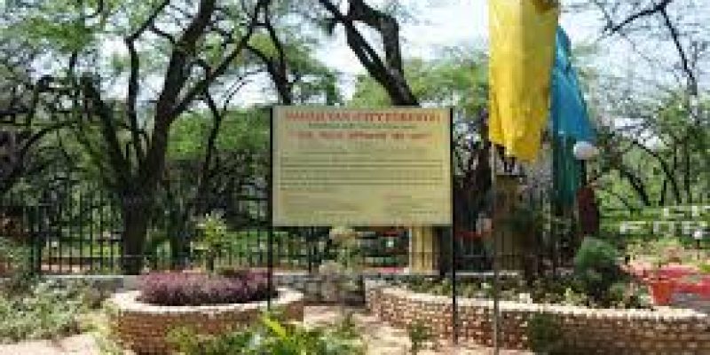 New Nagar Van Scheme to help in creation of Urban forests in cities