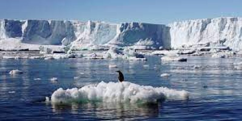 New maximum temperature has been recorded in Antarctica