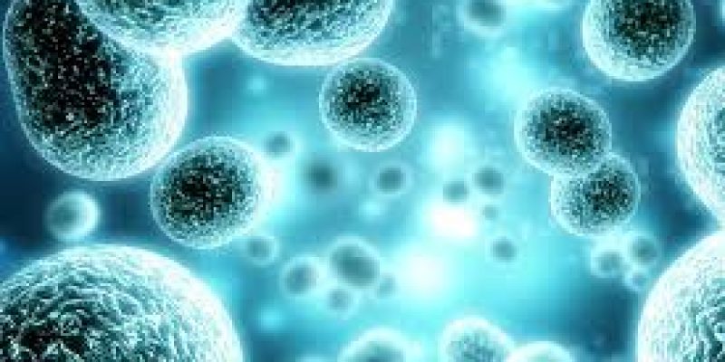 New technique to study ultrasmall particles in cells