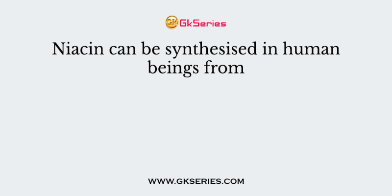 Niacin can be synthesised in human beings from