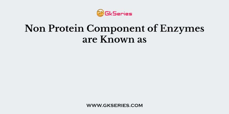 Non Protein Component of Enzymes are Known as