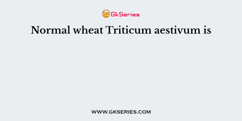 Normal wheat Triticum aestivum is