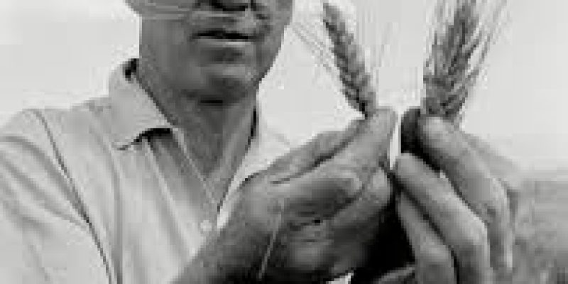 Norman E. Borlaug Award